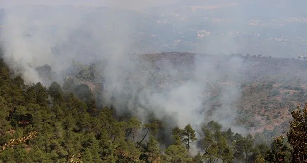 سوريا تتنفس الصعداء: السيطرة على الحرائق بعد 10 أيام من الكارثة