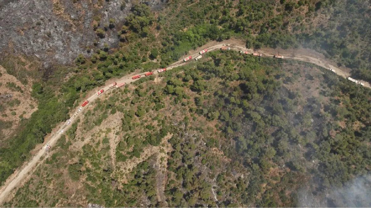 اللاذقية: أضرار جسيمة في الغابات والزراعة.. والدفاع المدني يؤكد سلامة محميات كسب