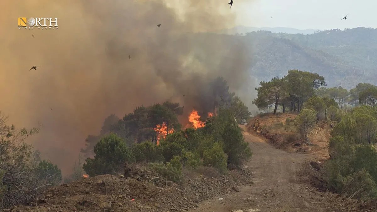 تجدد واسع للحرائق في ريف اللاذقية رغم جهود الإخماد