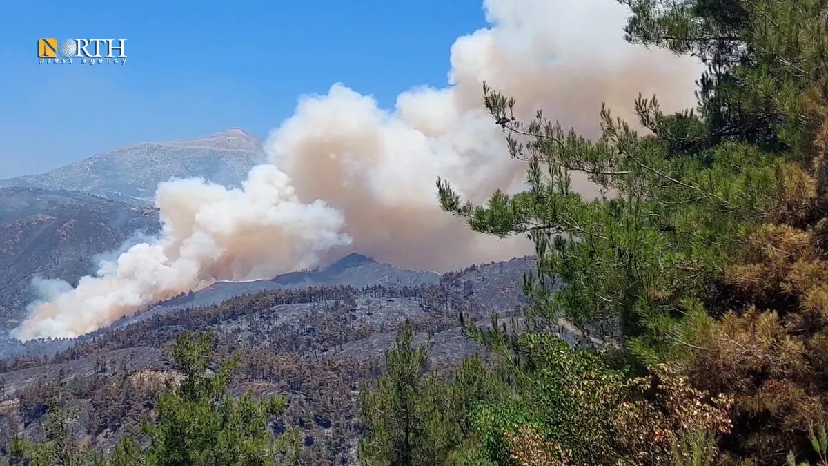 حرائق اللاذقية: خسائر زراعية فادحة وأضرار بيئية تهدد مناطق سياحية