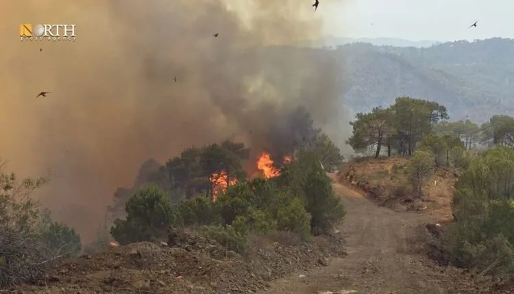 فرق الإطفاء تسيطر على آخر بؤر الحرائق في ريف اللاذقية وتواصل المراقبة