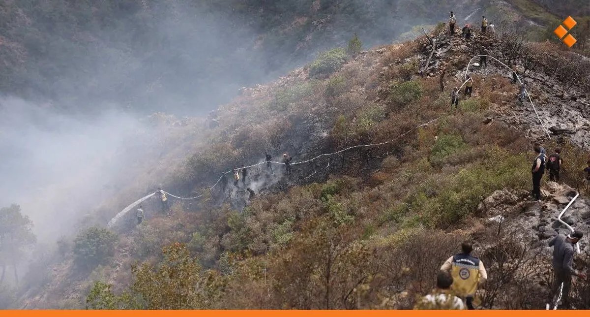 الدفاع المدني السوري يعلن إخماد آخر بؤر الحرائق في ريف اللاذقية بعملية معقدة