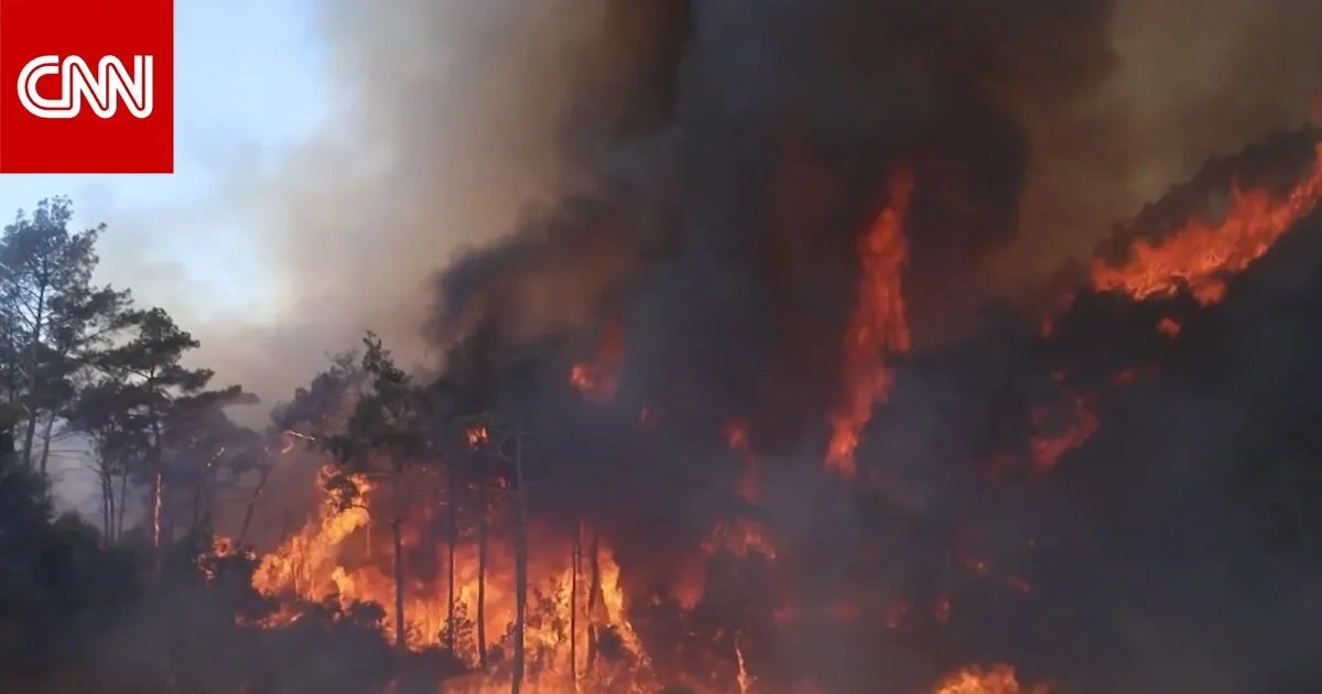 حرائق مدمرة تجتاح سوريا: الغابات والمزارع في خطر