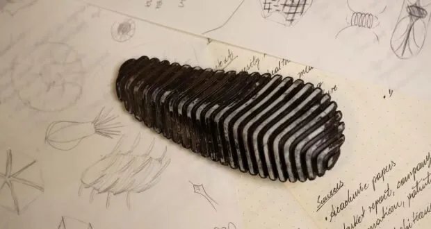 جهاز بحجم ثمرة الصنوبر يكشف حرائق الغابات مبكراً ويقلل الخسائر