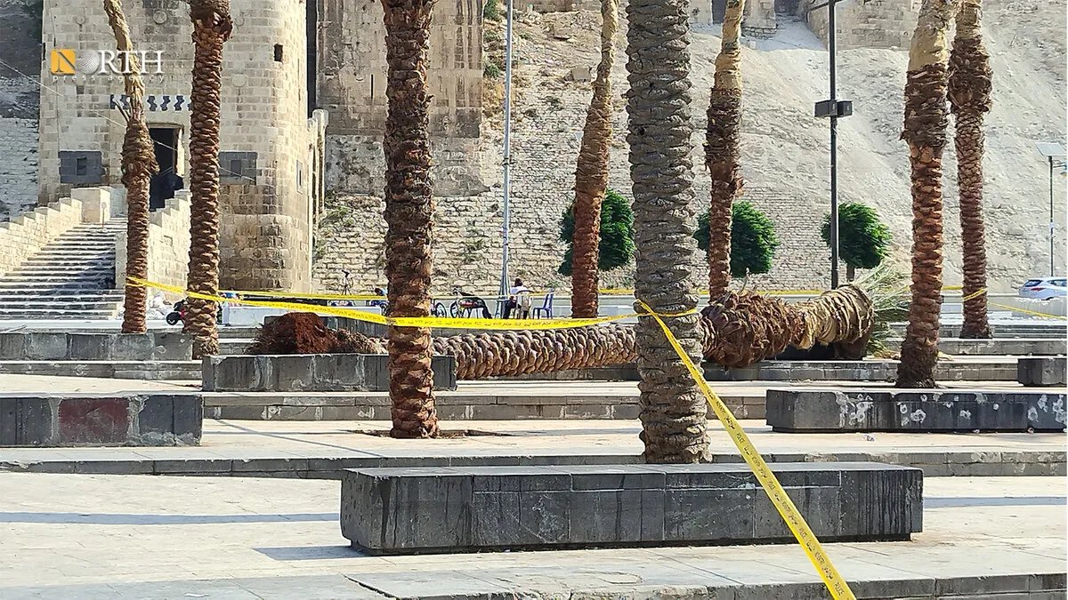 مأساة في حلب: شجرة تودي بحياة امرأة أمام القلعة