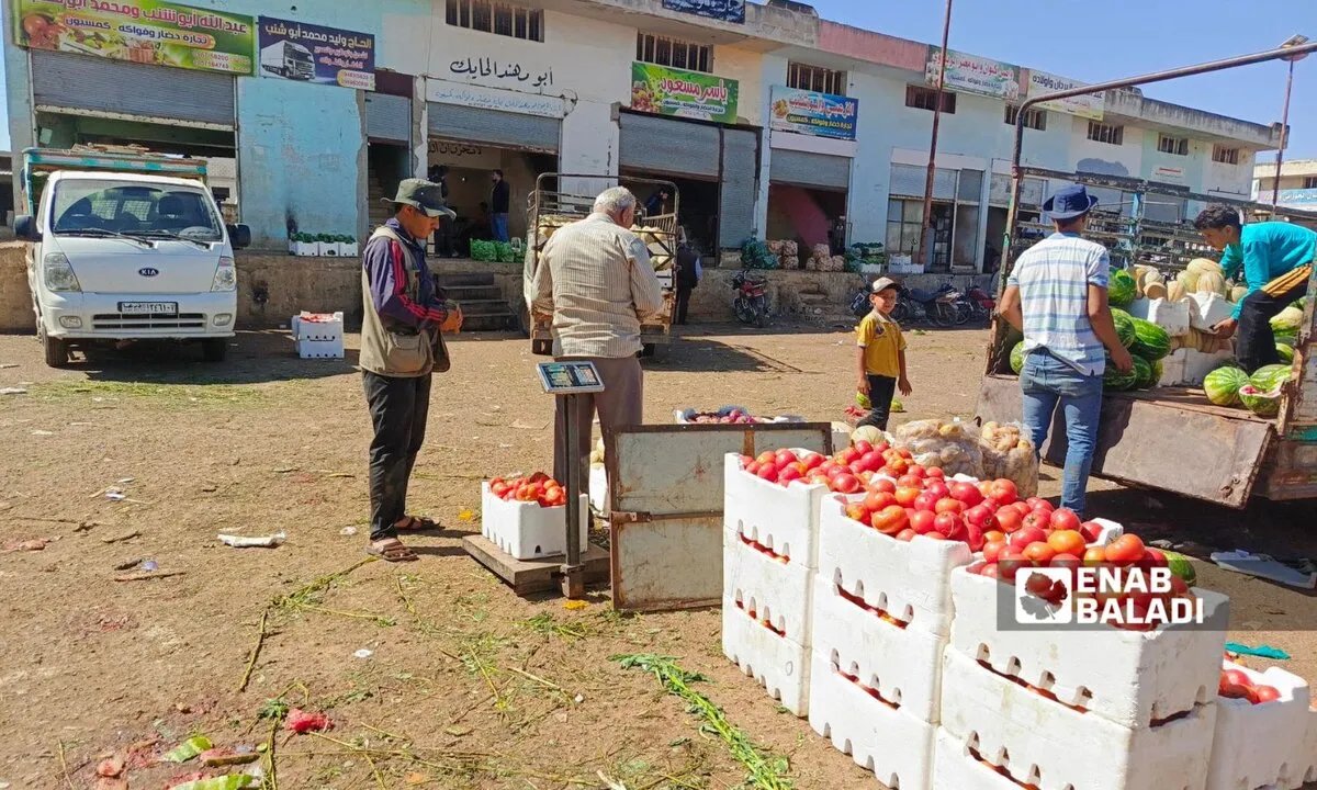 مزارعو درعا يئنون: خسائر فادحة وكساد يضرب محصول البندورة