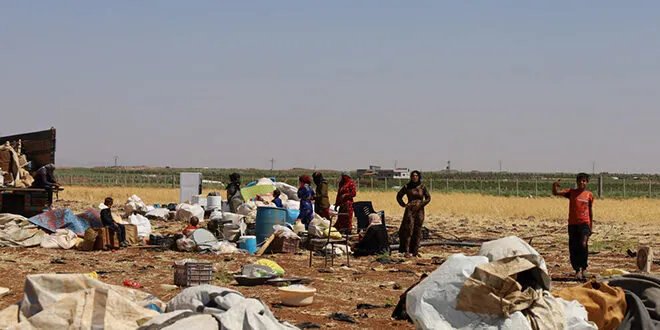 نزوح قسري لعشائر البدو في ريف السويداء إثر اعتداءات مجموعات خارجة عن القانون