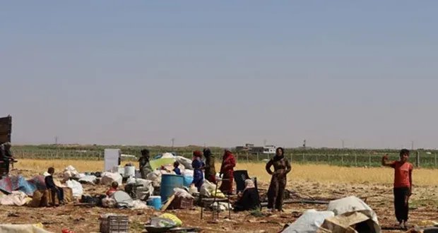 مجزرة مروعة ونزوح قسري في ريف السويداء: اعتداءات على المدنيين وعشائر البدو