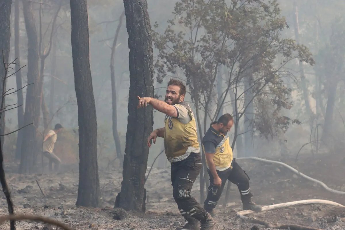 وزارة الزراعة تكشف خطتها الطارئة لحماية غابات الساحل السوري من الحرائق