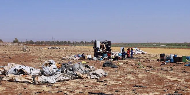 أبناء عشائر أهل الجبل في الأردن يستنكرون بشدة "جرائم الإبادة" بحق عشائر البدو في السويداء