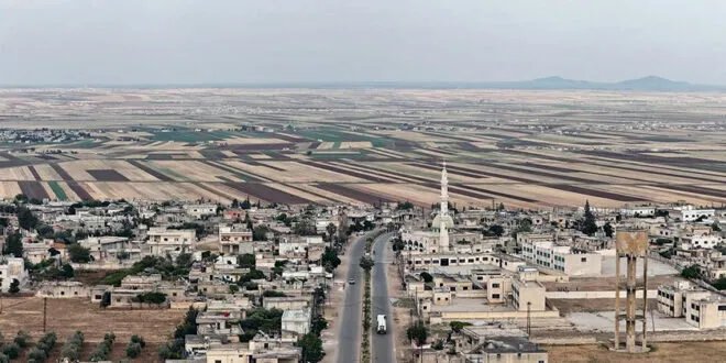 الغاب: استثمار زراعي أمثل يدعم الاقتصاد الوطني رغم التحديات المناخية