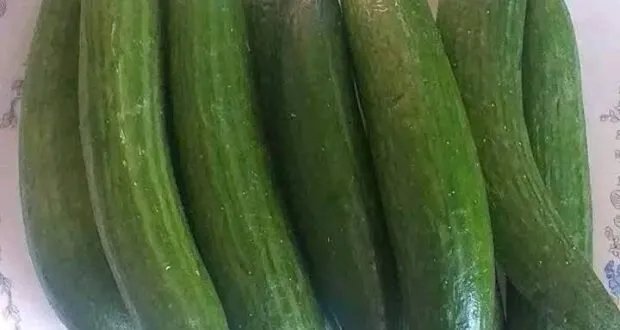 الخيار: كنز غذائي و حلول منزلية غير متوقعة