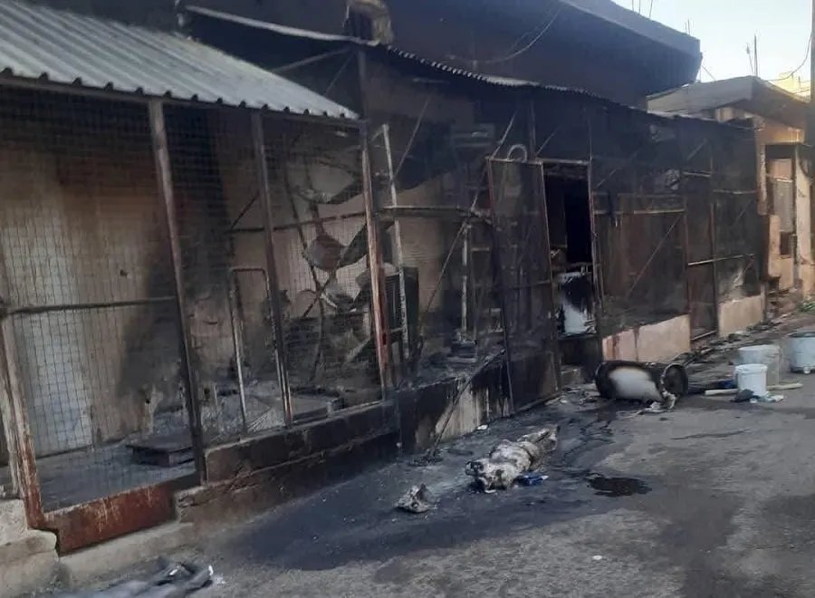 اتفاق جديد في السويداء برعاية الدول الضامنة يهدف إلى احتواء الاشتباكات وتأمين خروج المدنيين