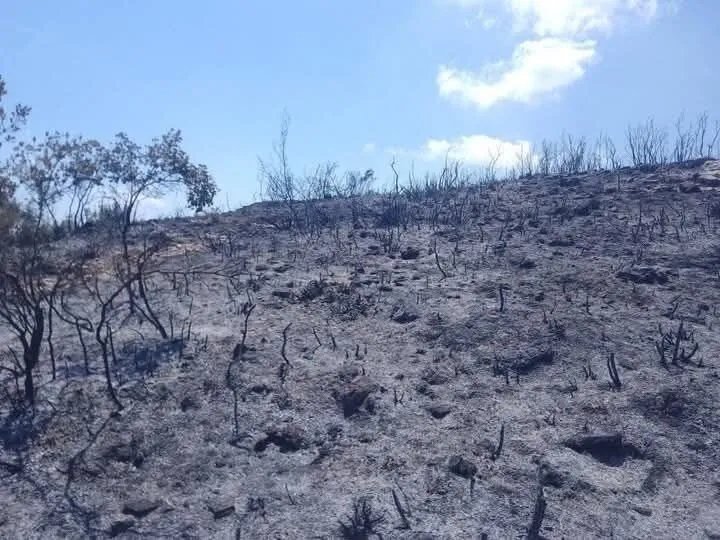 بهمة الأهالي والإطفاء: السيطرة الكاملة على حريق وادي العيون وبرمانة المشايخ