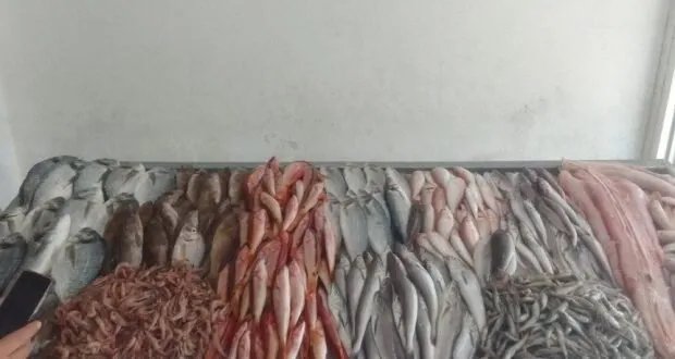 بين الفوائد الصحية والقدرة الشرائية المتدهورة: السمك حلم بعيد المنال للسوريين