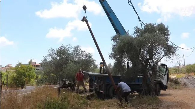 أزمة مياه في ريف طرطوس: شكاوى من التوزيع غير العادل والمؤسسة العامة للمياه ترد