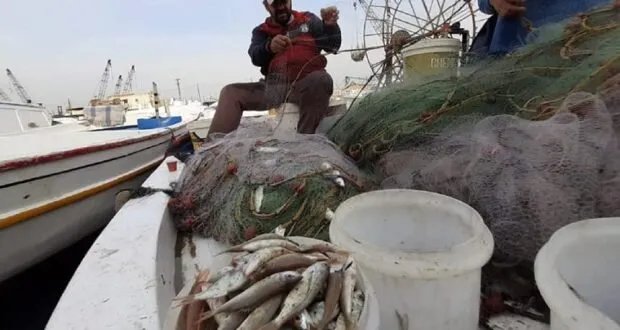 اعتراض صيادي اللاذقية على قرار منع الصيد لشهر: خسائر كبيرة تهدد آلاف الأسر
