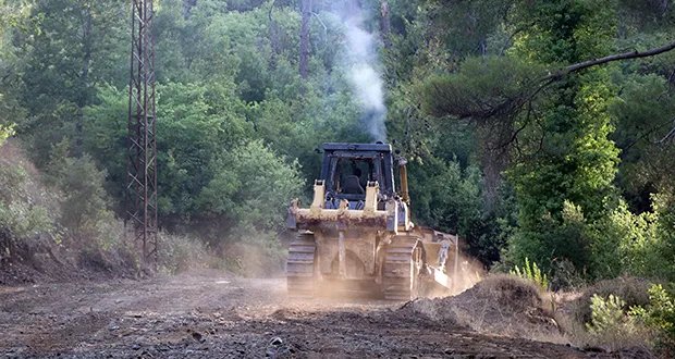 وزارة الطوارئ تطلق حملة لفتح طرقات جديدة في غابات ريف اللاذقية المتضررة من الحرائق