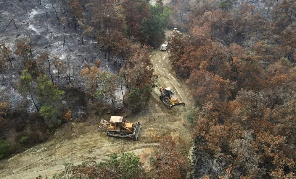 اللاذقية: حملة مكثفة لإنشاء طرق داخل الغابات لتعزيز الاستجابة للحرائق