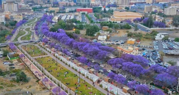 أبها: اكتشف سحر "عروس الجنوب" السعودية وتاريخها العريق