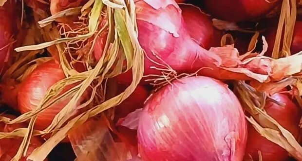 اكتشف القوة الخفية في البصل: فوائد صحية لا تحصى