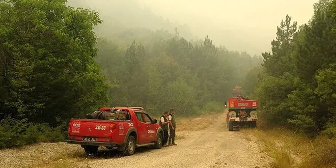 فاجعة في تركيا: مصرع 10 من رجال الإطفاء في حريق غابات بولاية إسكي شهير