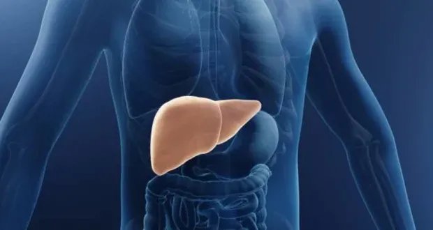 خمس عادات يومية تدمر الكبد بصمت: تعرف عليها وتجنبها!