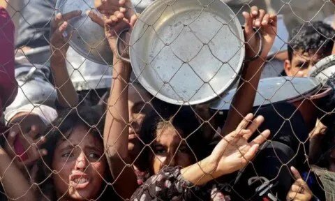 الغارديان تفضح: تجويع متعمد لأطفال غزة.. شهادات مروعة من داخل مستشفى ناصر