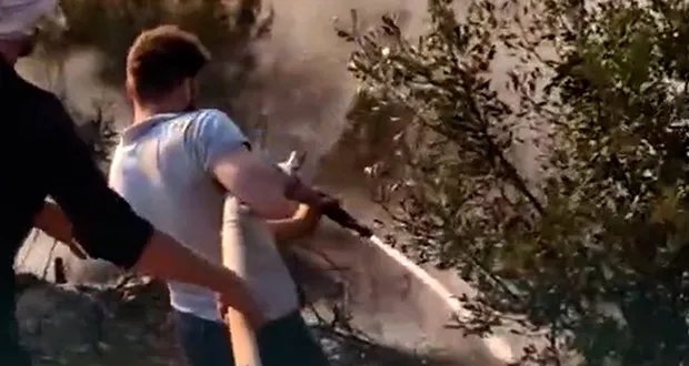 السيطرة على حرائق الغاب: إخماد النيران في موقعين حراجيين قرب نبع الطيب ونهر البارد