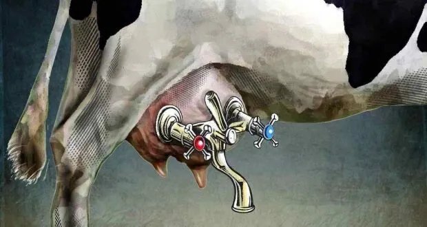 الفنان رائد خليل يحصد الجائزة العالمية الأولى في مسابقة جورا هومورولوي برومانيا