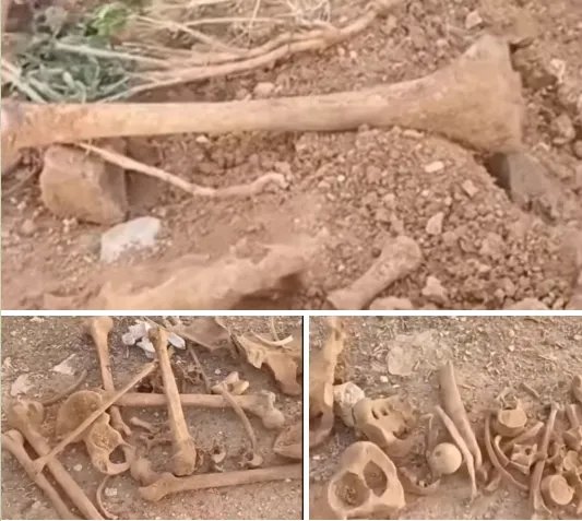 اكتشاف مقبرة جماعية في منطقة السلالم قرب جديدة عرطوز بريف دمشق