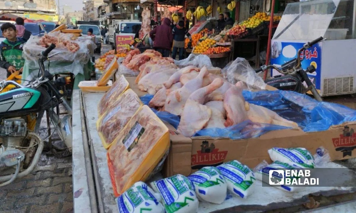 إدلب: انخفاض حاد في أسعار الدجاج يكبّد المربين خسائر "كارثية" رغم إقبال المستهلكين