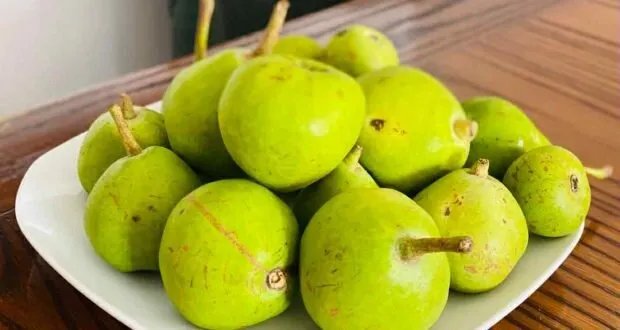 فاكهة "المراب": كنز الجبال الساحلية بفوائد لا تحصى ومذاق فريد