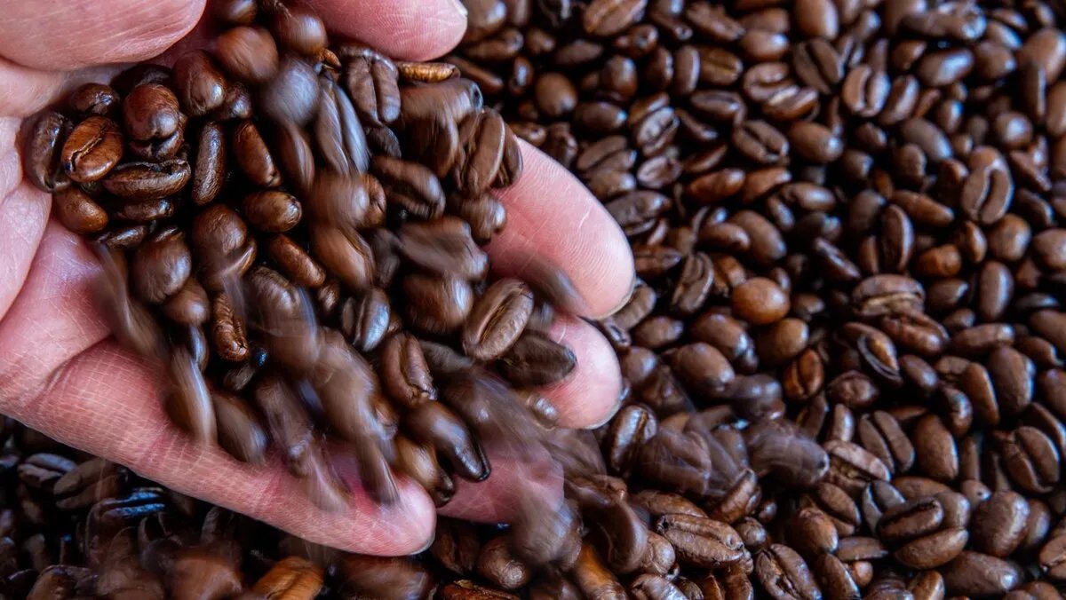 ارتفاع أسعار القهوة يثير شهية اللصوص: سلسلة سرقات تطال متاجر التخفيضات في ألمانيا