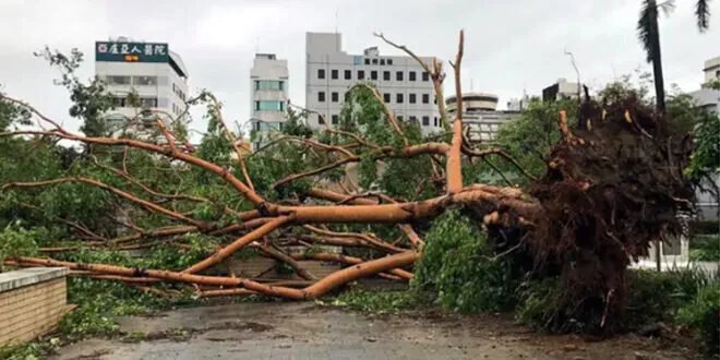 كارثة الأمطار الغزيرة في تايوان: مصرع أربعة أشخاص وإصابة العشرات