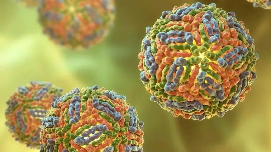 فيروس النيل الغربي يودي بحياة 8 أشخاص في أوروبا: تفاصيل الانتشار والإجراءات الوقائية