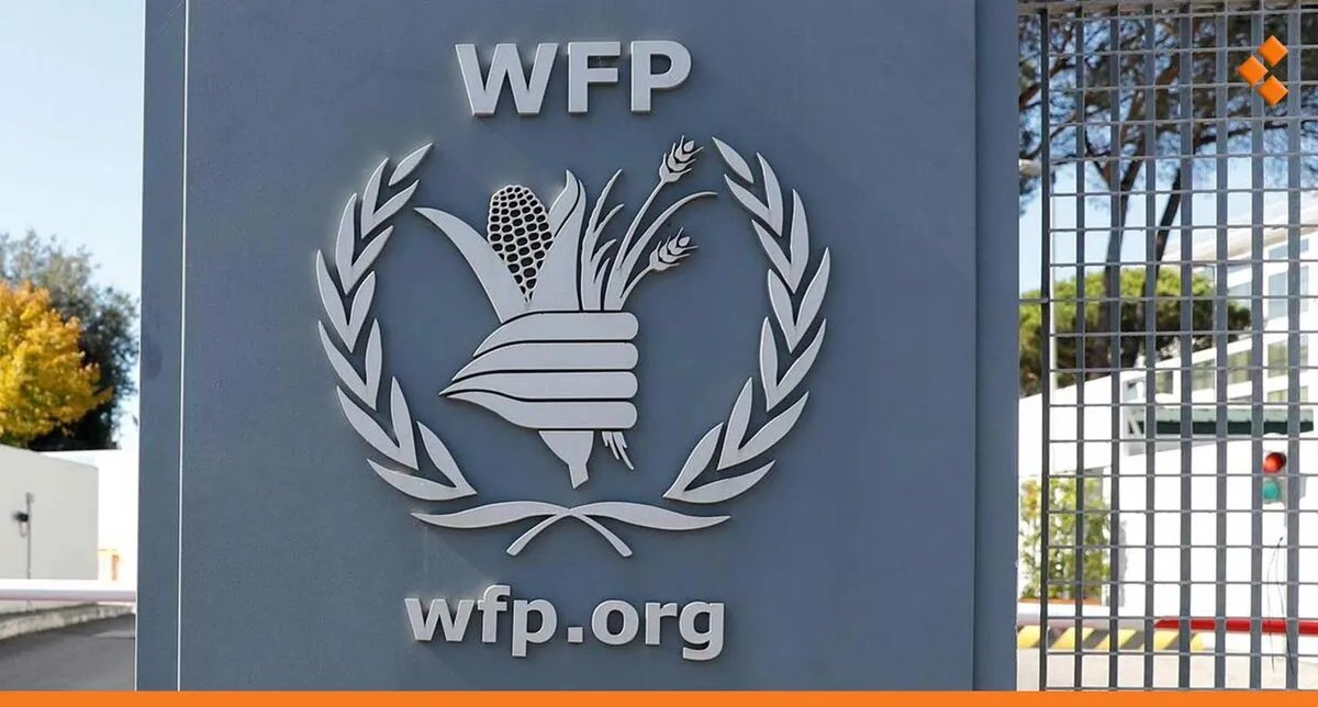 الأمم المتحدة تحذر: نقص التمويل يهدد برامج الغذاء في سوريا وتطالب برفع العقوبات