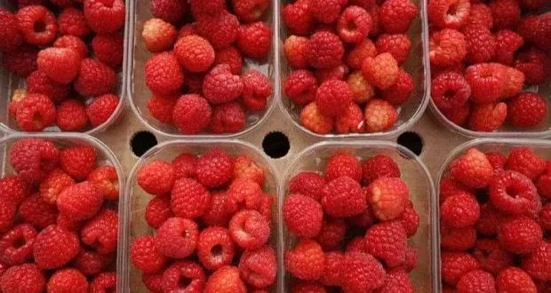 وداعاً للدهون الحشوية: 11 نوعاً من الأطعمة تساعدك على تحقيق هدفك