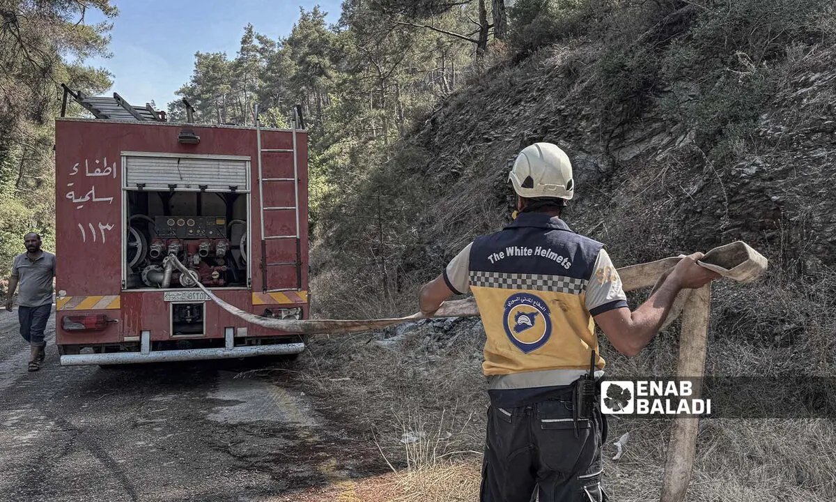 وزارة الزراعة تحصي خسائر حرائق اللاذقية: أكثر من 14 ألف هكتار متضرر