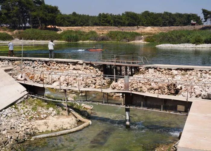 حمص على شفا العطش: انخفاض تاريخي في منسوب عين التنور يهدد حياة الملايين