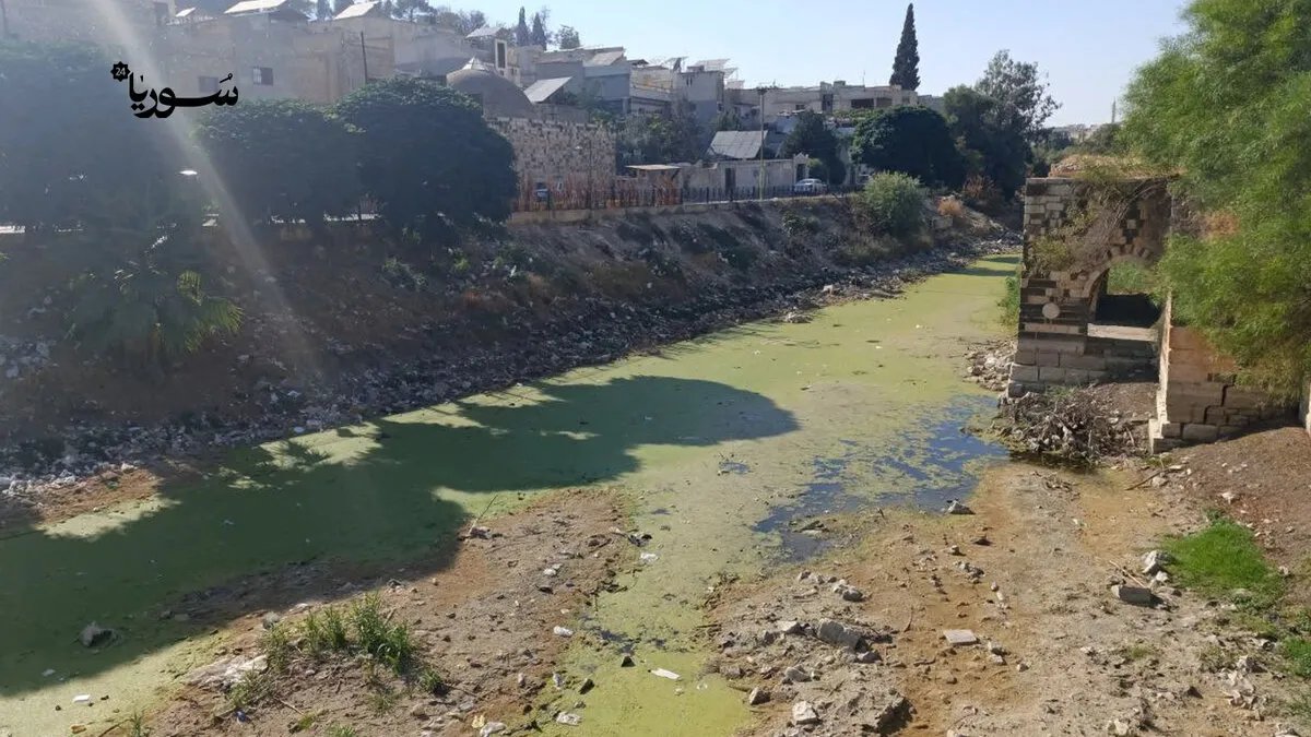 جفاف غير مسبوق يضرب نهر العاصي في حماة: الزراعة والبيئة في خطر