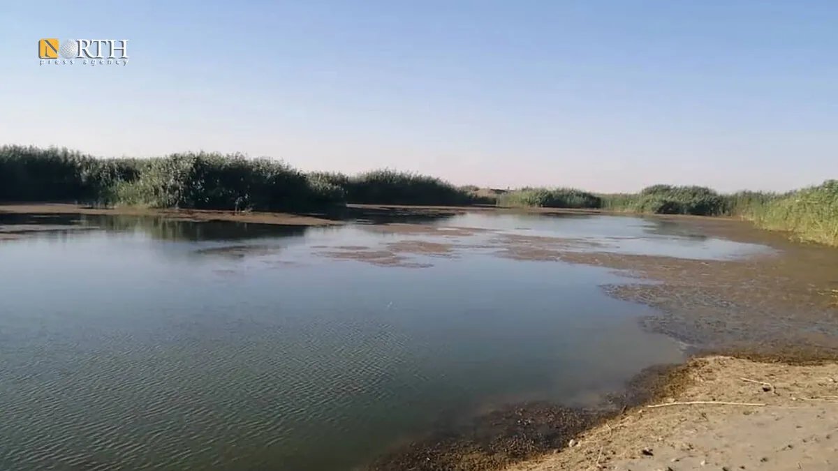 فاجعة في دير الزور: مصرع شاب غرقاً في نهر الفرات وتحذيرات من مخاطر السباحة