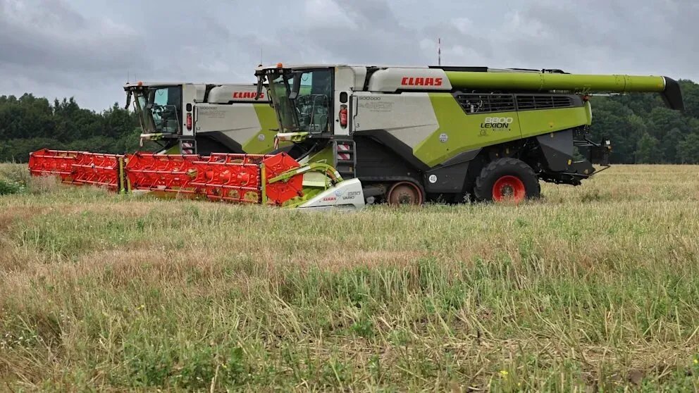 أمطار غزيرة تهدد محصول الحبوب في ألمانيا: هل سترتفع أسعار الخبز؟