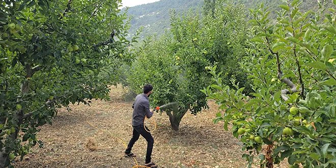 عودة الحياة إلى جبل الأكراد: الأهالي يستعيدون أراضيهم الزراعية رغم التحديات