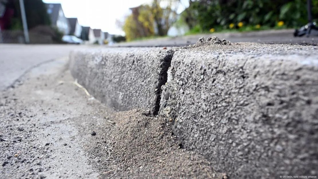 غزو النمل العدواني يهدد البنية التحتية في ألمانيا: هل يشكل خطراً حقيقياً؟