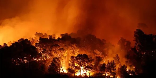 مصرع شخص وإصابات في أكبر حريق غابات تشهده جنوب فرنسا هذا الصيف