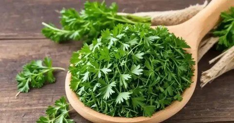 اكتشف القوة الخفية: فوائد صحية مذهلة في بذور البقدونس