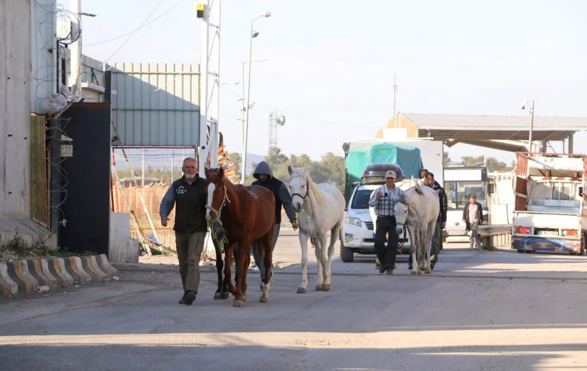 حجاج إسبان يحيون طريق الحج الأندلسي القديم بالخيول.. رحلة ملحمية تبدأ من حلب إلى مكة