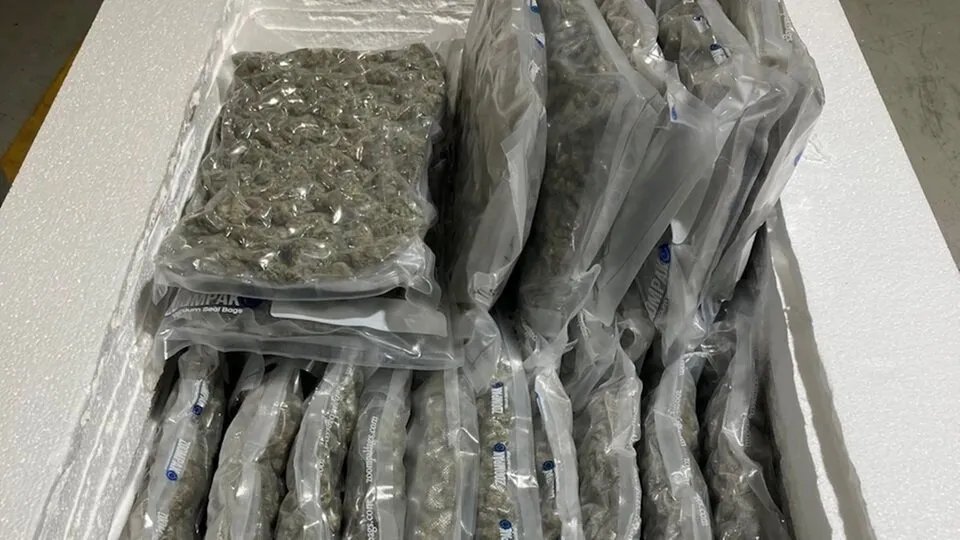 ألمانيا: حملة أمنية واسعة النطاق تطيح بشبكة تهريب مخدرات وتضبط أكثر من طن