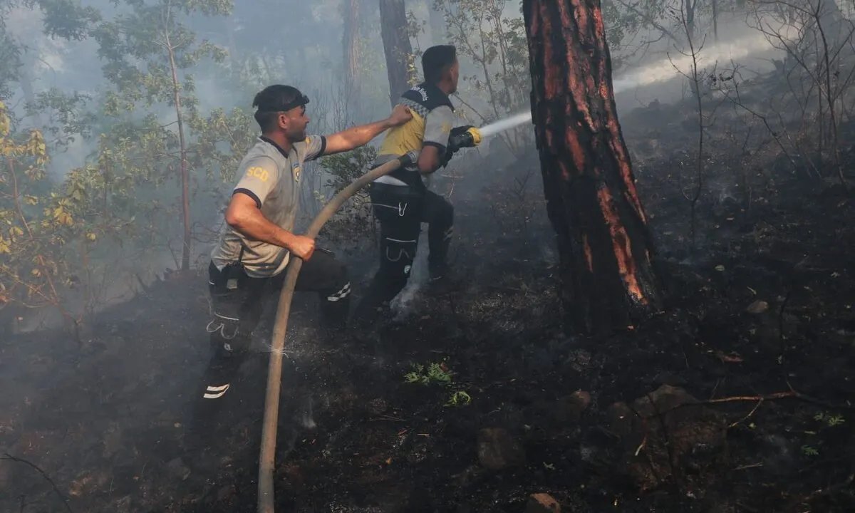 الدفاع المدني يكثف جهوده للوقاية من الحرائق في ريف اللاذقية: خطوط نار استباقية لحماية الغابات